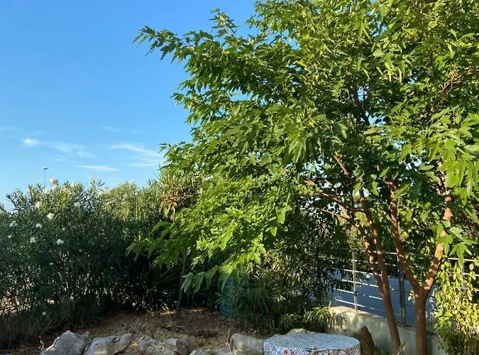 Alojamento de Acomodação e Pequeno-almoço Gaia 4*